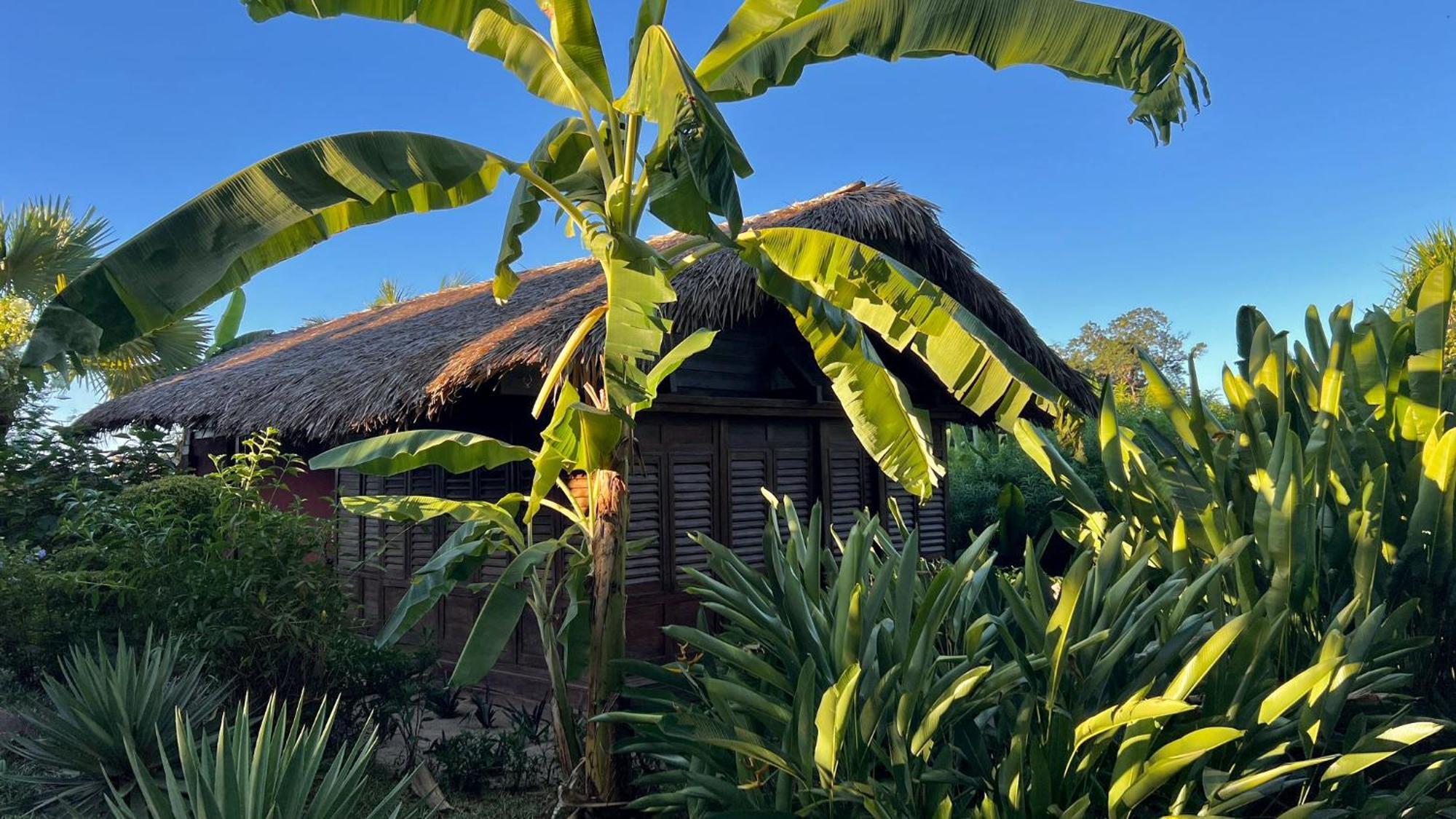 Manga Soa Lodge Fascene - Befefika Ngoại thất bức ảnh