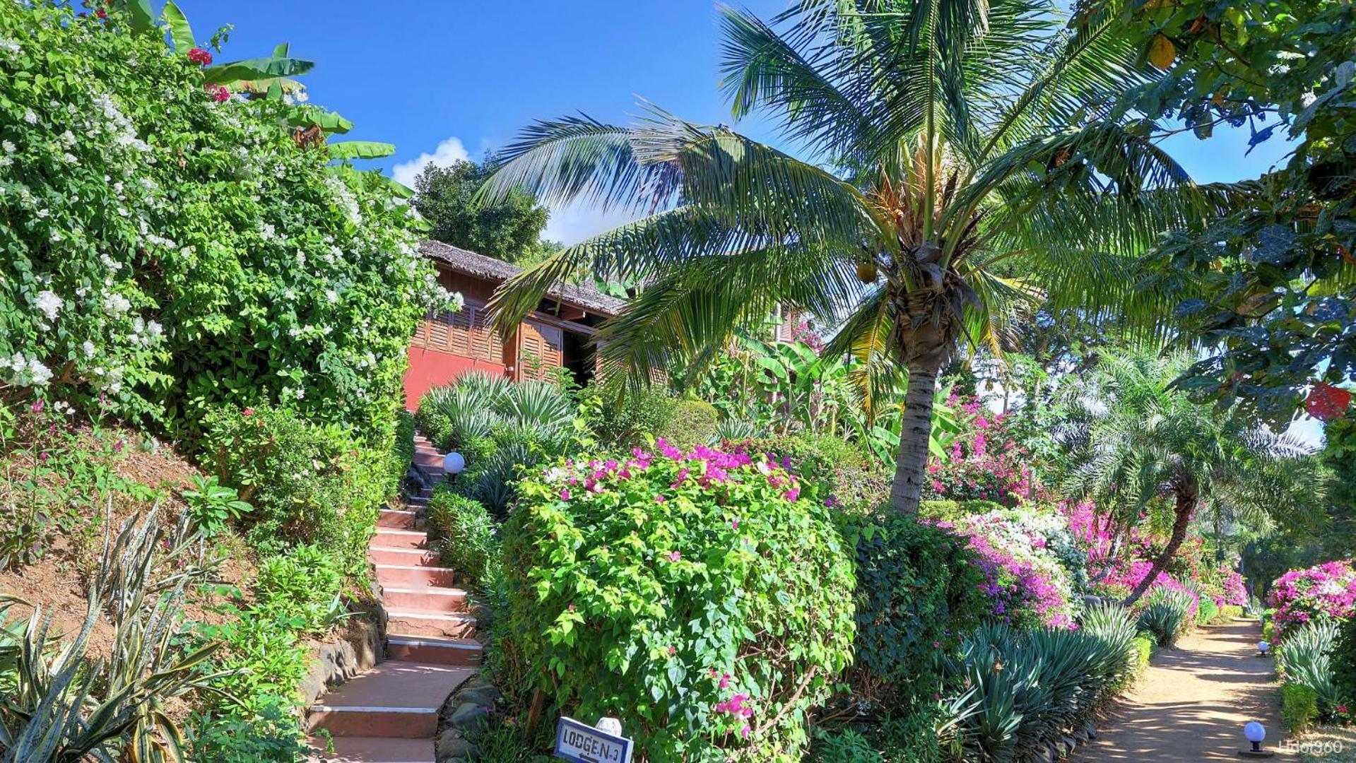 Manga Soa Lodge Fascene - Befefika Ngoại thất bức ảnh